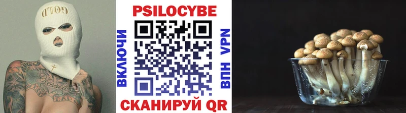 Купить где  Карабулак  Псилоцибиновые грибы ЛСД 
